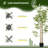 70.75'' Faux Bamboo Tree in Cement Pot