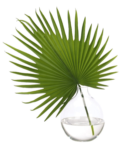 Ventilateur, vert, vase en verre, l 15 po x P 17 po