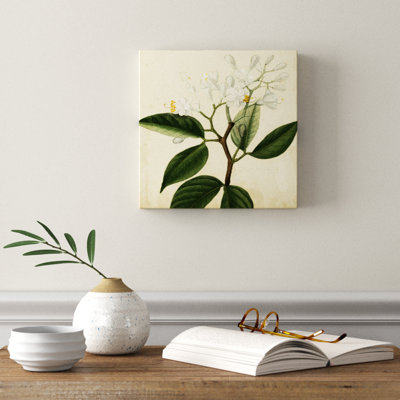 Garden Bounty VI - Wrapped Canvas Print