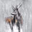 Toile encadrée Deer in the Forest | Décoration de salon animaux