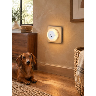 With no setup required, this wall-plug nightlight includes an outlet, automatically turns On/Off through a dusk-to-dawn sensor, and offers adjustable brightness for bedrooms, kitchens, and living rooms.