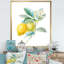Art mural sur toile, "Citron de cuisine", impression de citron rétro - Floursack Lemon II-48299420-48299419