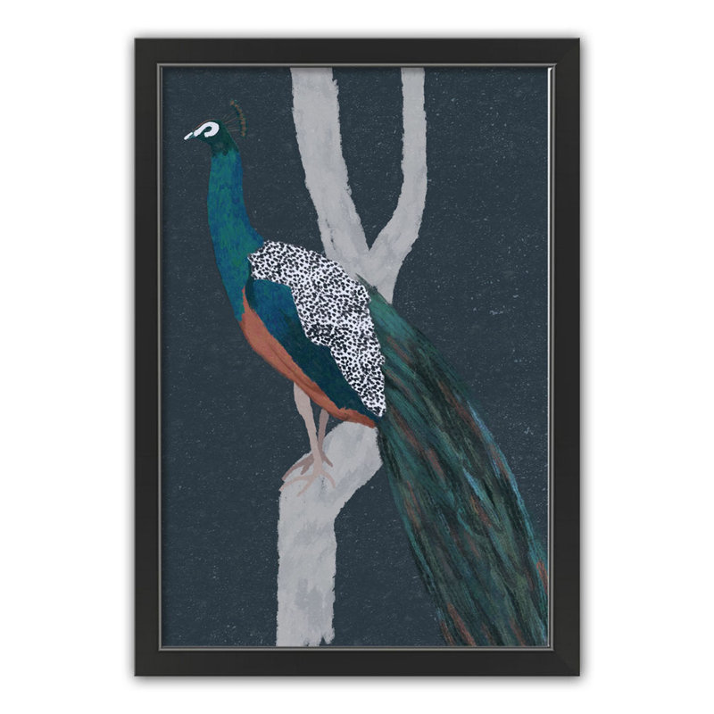 " Perching Peacock "