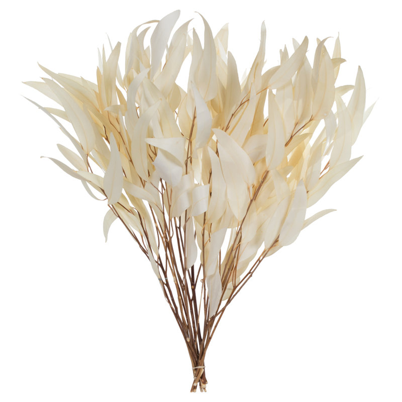 Bouquet de feuilles de saule blanchi et d'eucalyptus blanchi de 18 po Primrue 18 oz, préservé