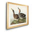 Galdwell Duck - reproduction de cadre photo sur toile-1266378086-1266378089