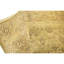Hand Knotted Wool Area Rug in Gold