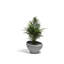 Luna Planter-921280414-921280418