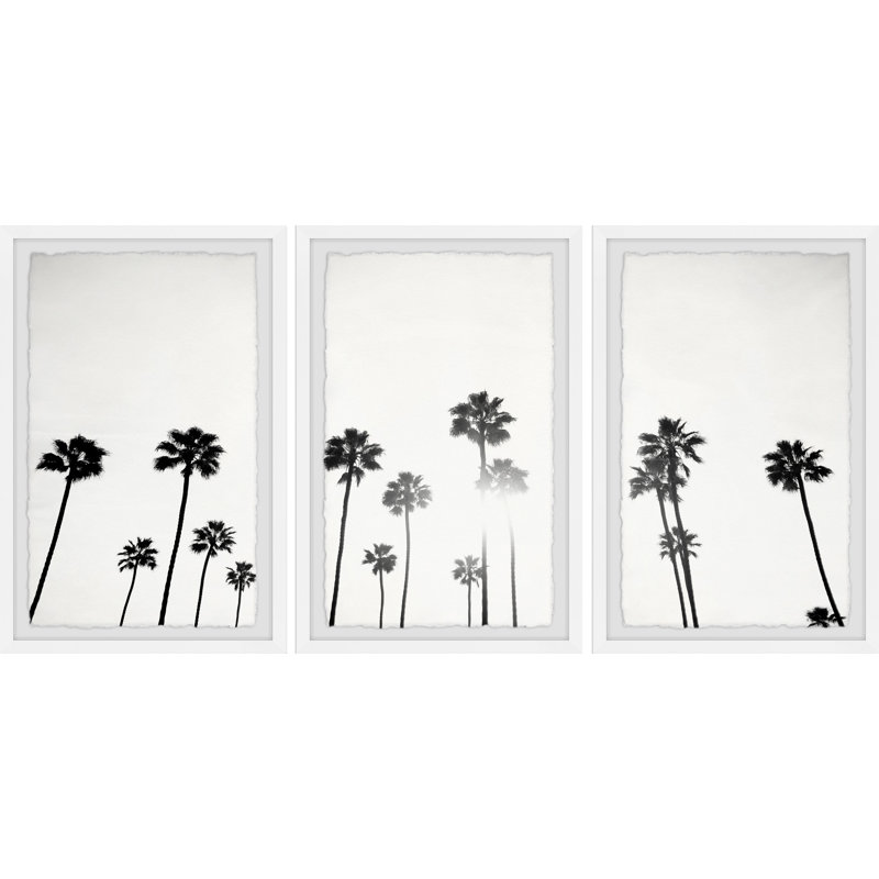 «Sunlight Under Palm Trees» par Marmont Hill - ensemble de 3 photos encadrées, H 24 po x l 16 po