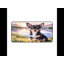 Polyester Desk Pad-557762869