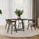 Drees Dining Chair with backrest and arms