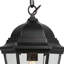 Lanterne murale d'extérieur 1 lumière en noir impérial-69984668