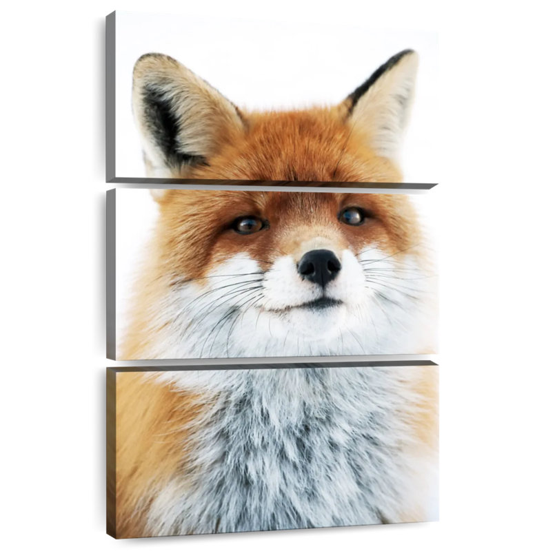 Brampt Fox Gaze, 32" H x 20" W