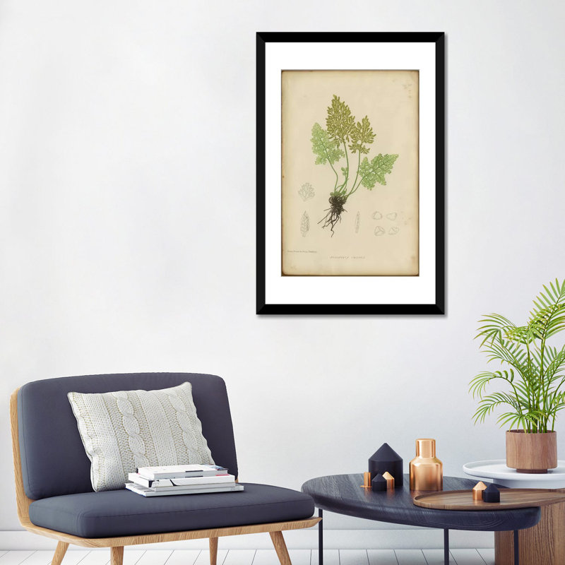 «Roots», impression sur toile, Toile avec cadre noir, H 48 po x l 32 po x P 1,5 po, Blanc