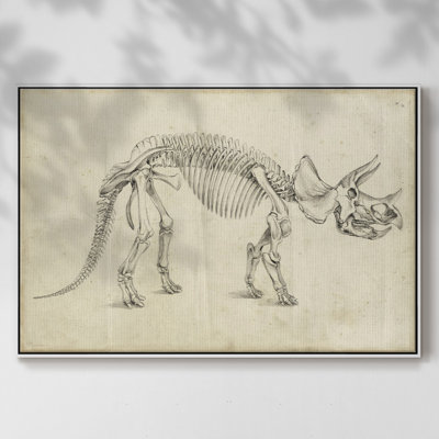 " Dinosaur Study II "