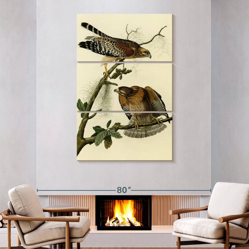 Ronce à faucon à épines d'oiseaux d'Amérique, H 74 po x l 48 po