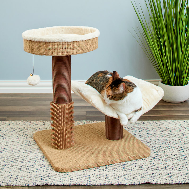Cat Perch
