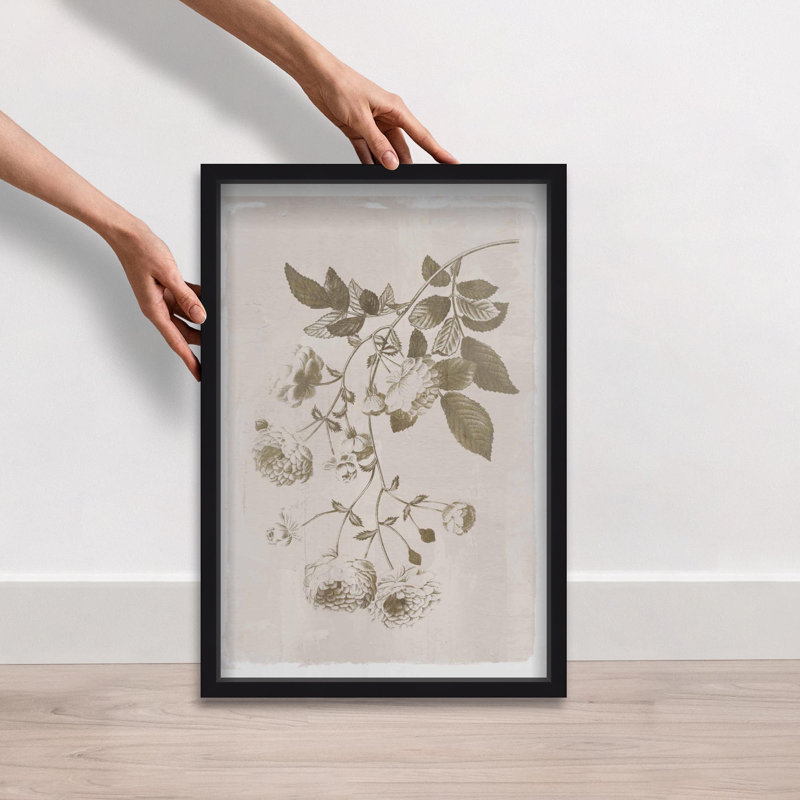 Oliver Gal Illustration of Flowers Floral and Botanical - Luxury Shadowbox Framed Wall Art, Black, 25" H x 17" W