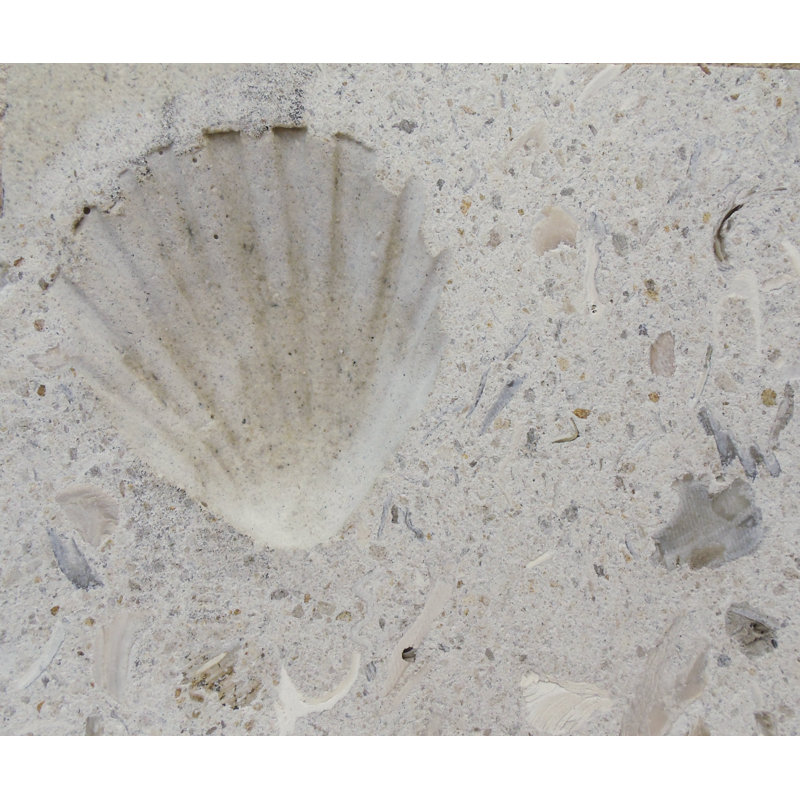 6" x 6" SeaStone Decoartive Accent Tile in White