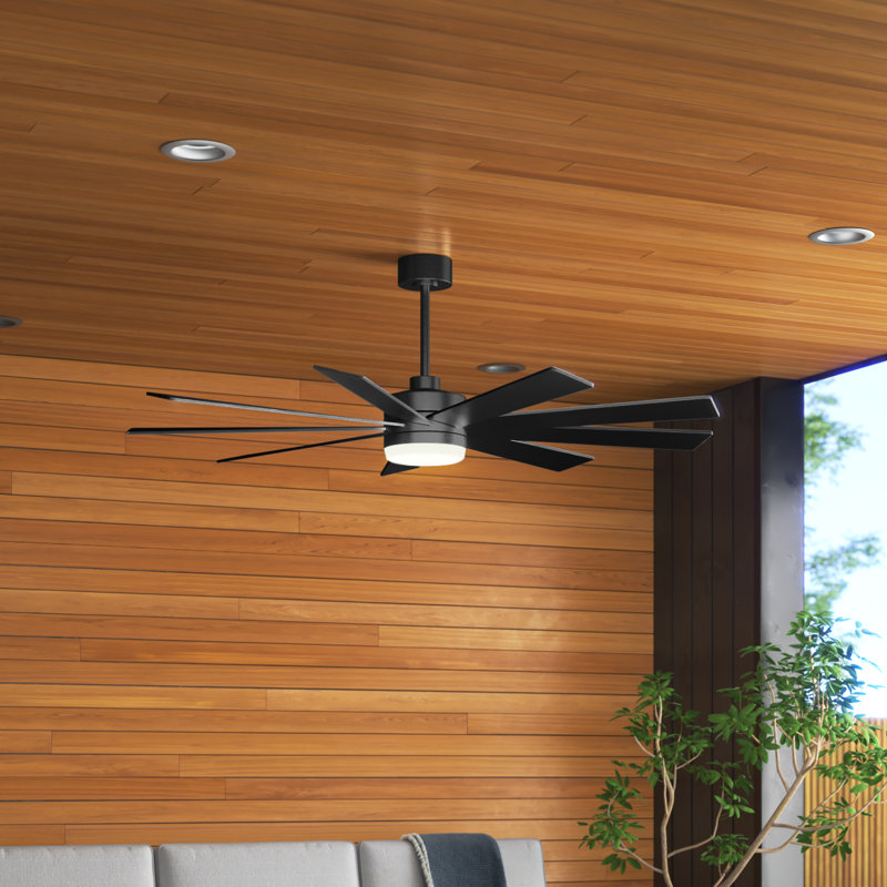 Babrak 65'' Ceiling Fan with LED Lights, Black
