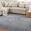 Tapis bleu / ivoire Somona-500461693