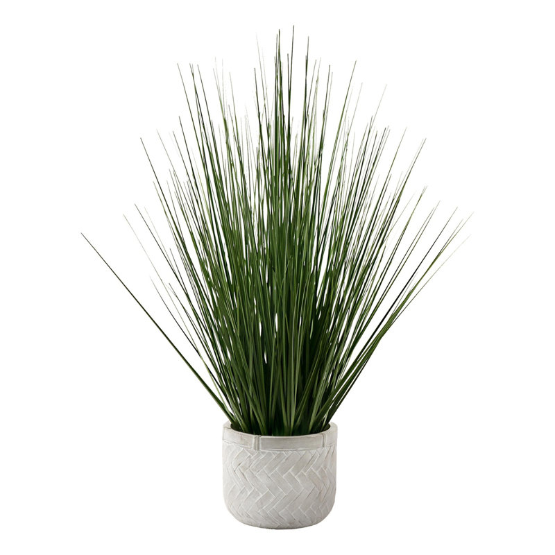Plante Mcfadden en fausse herbe en pot de ciment