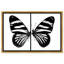 «Duality of a Monarch I», reproduction d'art acrylique encadrée par Art Remedy, cadre blanc, 30 x 20-1037619410-1037619419