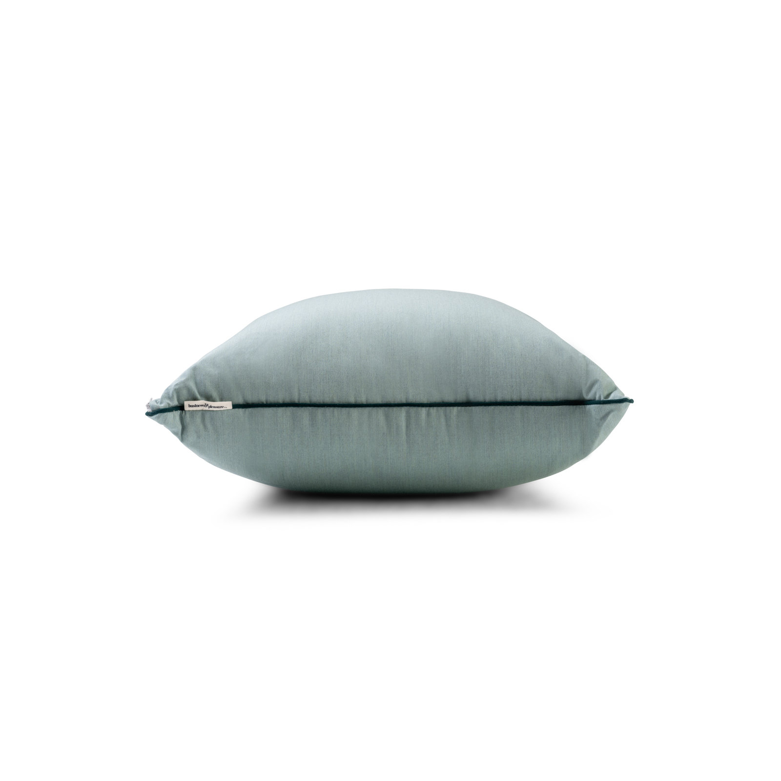 Rivie Indoor/Outdoor Throw Pillow, 26"H x 26"W, Green