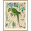 Watercolor Birds 4 Giclee Print by Soicher Marin Archives