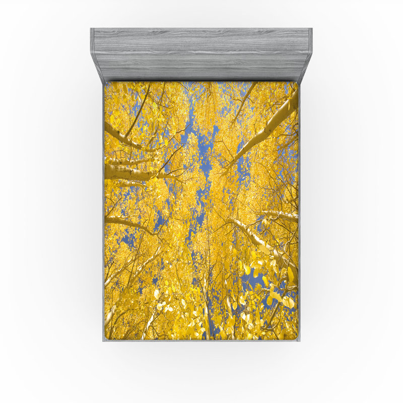 Drap-housse Ambesonne, California King Sheet Set