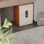 Armoire sécuritaire 17,32 po