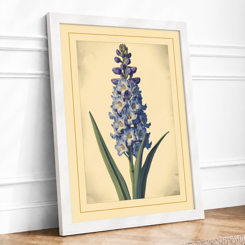 Hyacinth Study Botanical - Framed Print, A3 - 42.0 x 29.7 cm, White