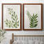 Botanical Wash I - ensemble de 2 reproductions-463140523-463140522-463140516