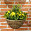34 cm H Faux Plant