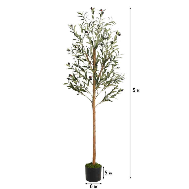 Albee Artificial Olive Tree in Pot with Realistic Leaves and Natural Trunk, 60'' H X 20'' W X 20'' D