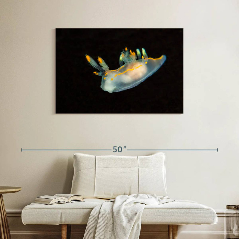 Sea Slug In Dark Waters, 26" H x 39" W