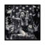 « catch a chutes star », impression sur toile-32591145-72120506-72120501