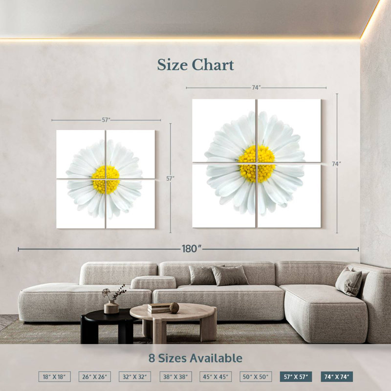 Fleur de camomille blanche, H 57 po x l 57 po