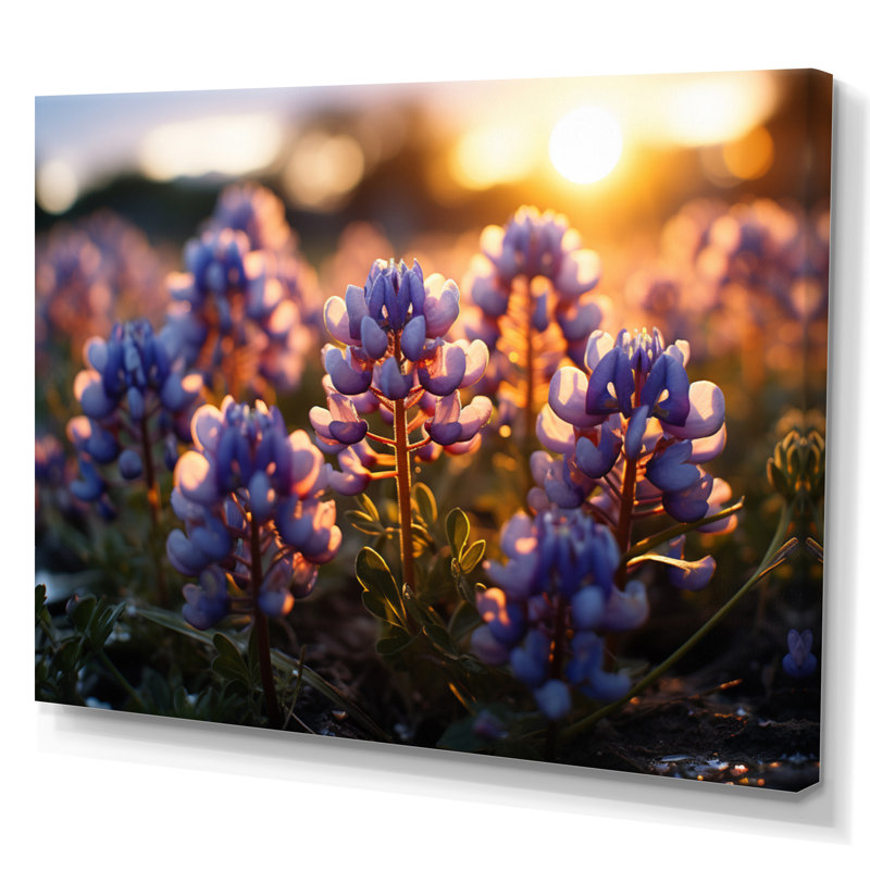 «Blue Bonnets Field Photo III», reproduction d'art sur toile, Toile tendue, H 30 po x l 40 po x P 1,5 po