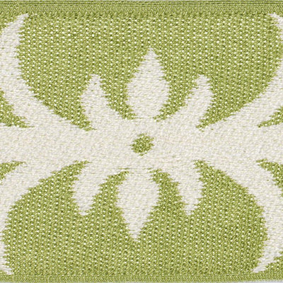 Schumacher x Celerie Kemble Acanthus Tape