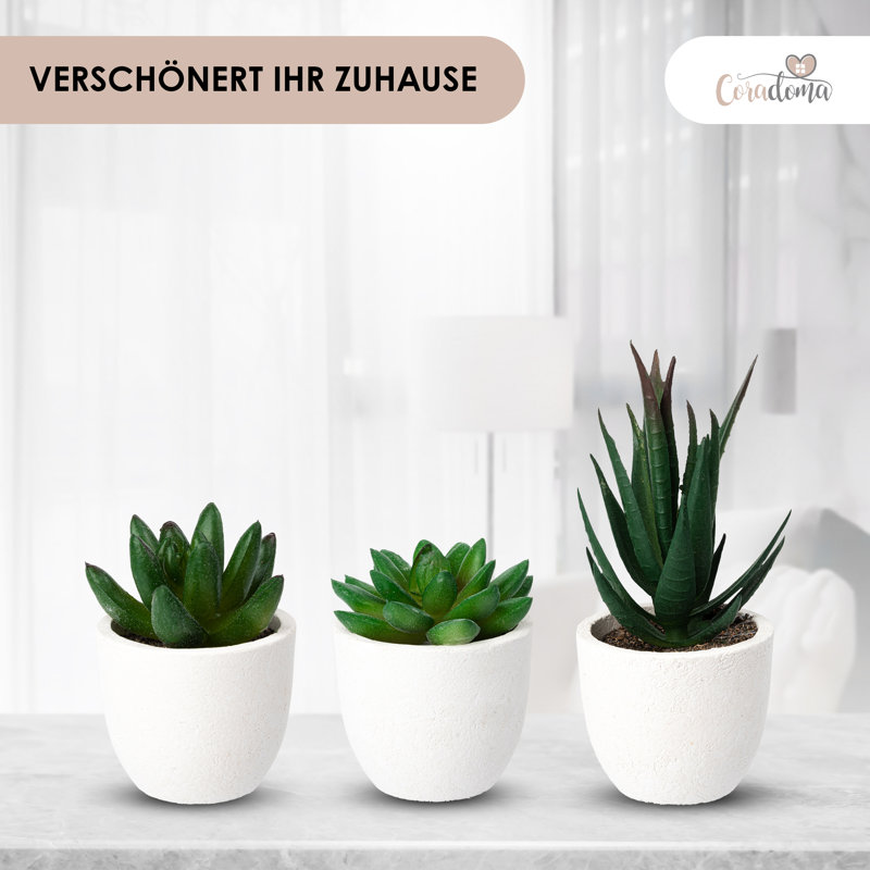 14 cm H Faux Bonsai Succulent Plant