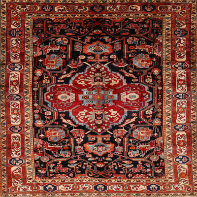 Alizandra Oriental Indoor Rug