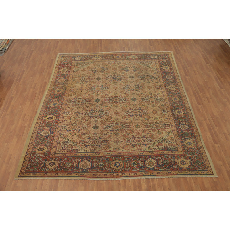 Tapis traditionnel à teinture végétale pré-1900 11x12
