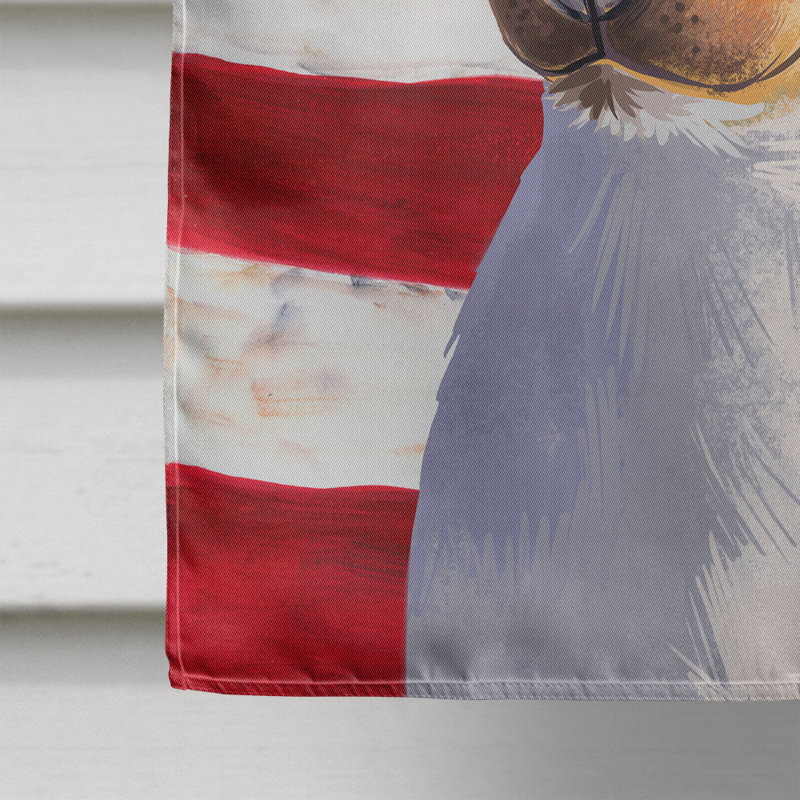 Polyester à 2 côtés 28 x 40 po drapeau maison, Braziliano