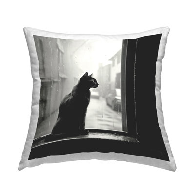 Coussin Cat