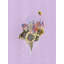 Celestial Mirabelle Print by Jenny Brown-64401898