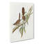 Large-Tailed Wrens by Elizabeth Gould - Wrapped Canvas-55365687