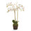 Conservatory Orchid Faux Floral