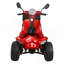 Scooter de golf