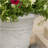 MOROCCAN URN