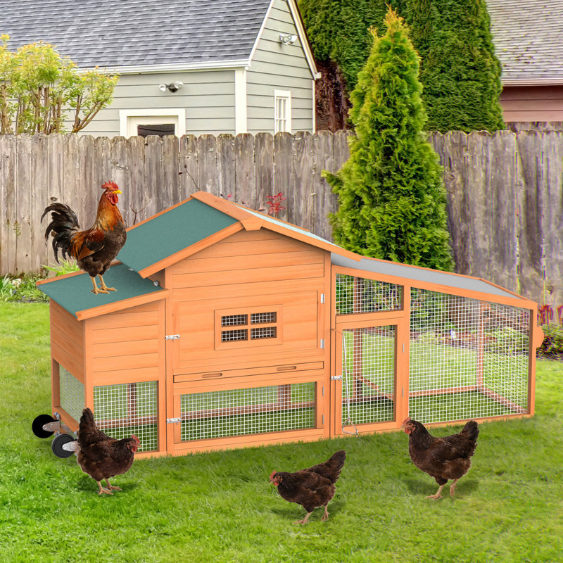 Cage à poules mobile avec roulettes